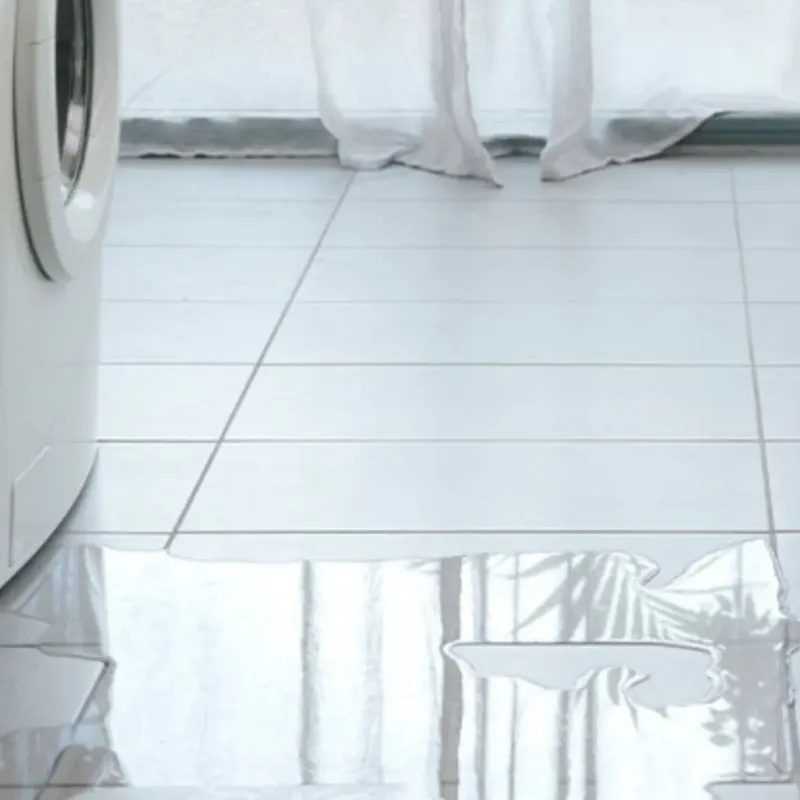 Appliance Leak Cleanup in Wilton, NH
