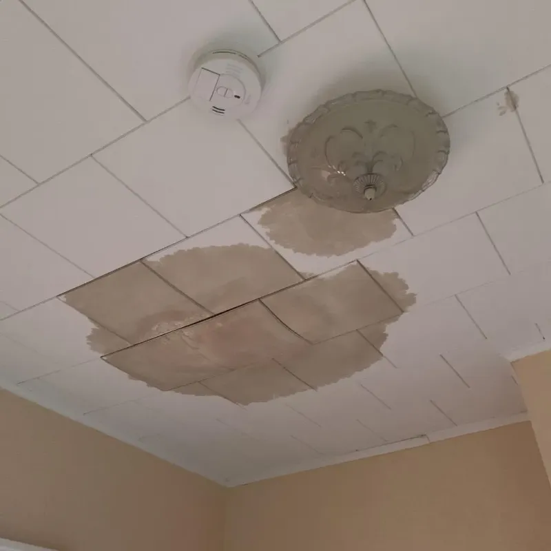 Ceiling Water Damage Repair in Wilton, NH