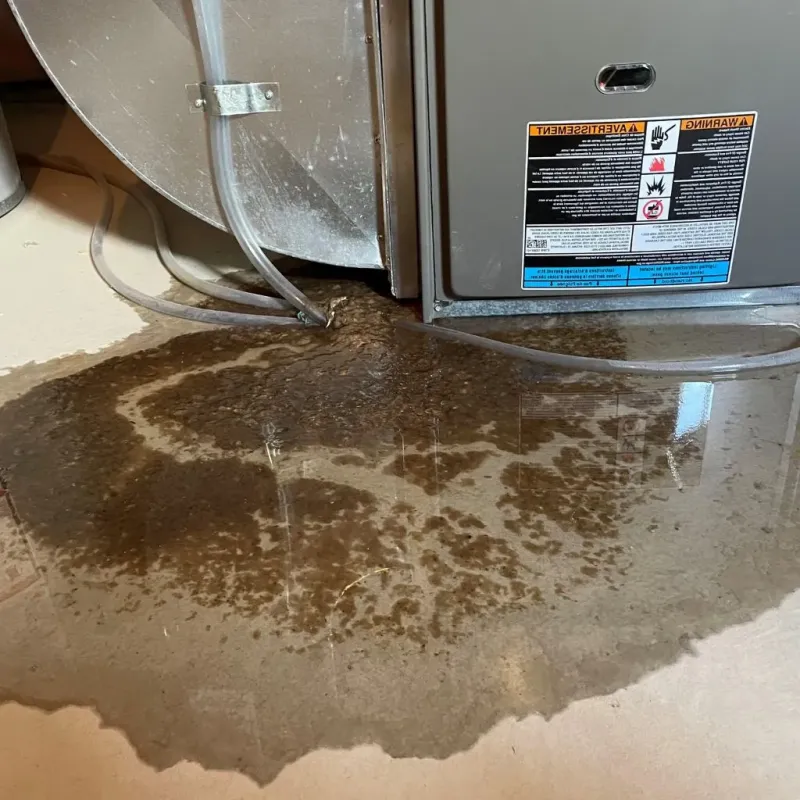 Pipe Burst and Leak Restoration in Wilton, NH